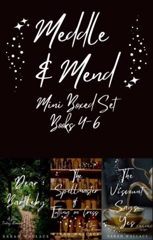 Meddle & Mend Mini Boxed Set 2 - ebook