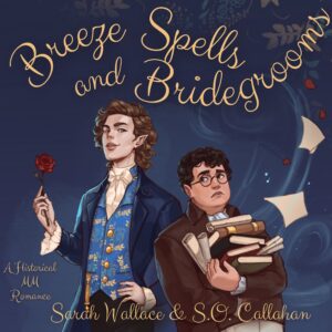 Breeze Spells and Bridegrooms - audiobook copy