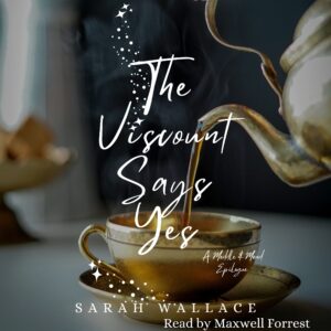 The Viscount Says Yes - audiobook copy